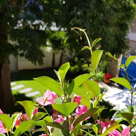 Villa Mary Amboise Dış mekan fotoğraf