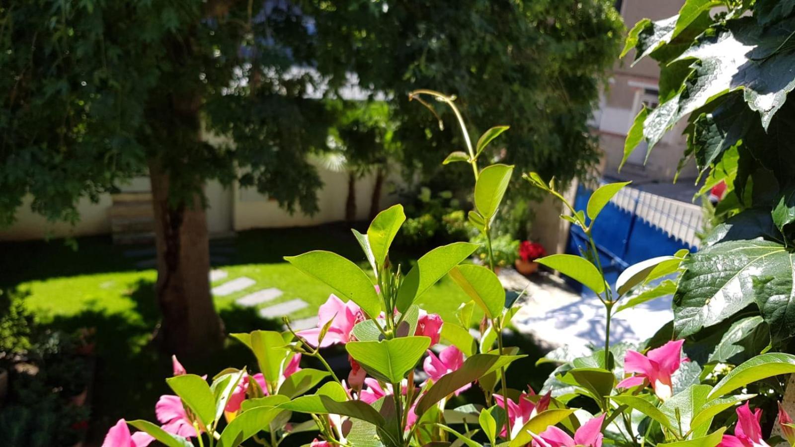 Villa Mary Amboise Dış mekan fotoğraf